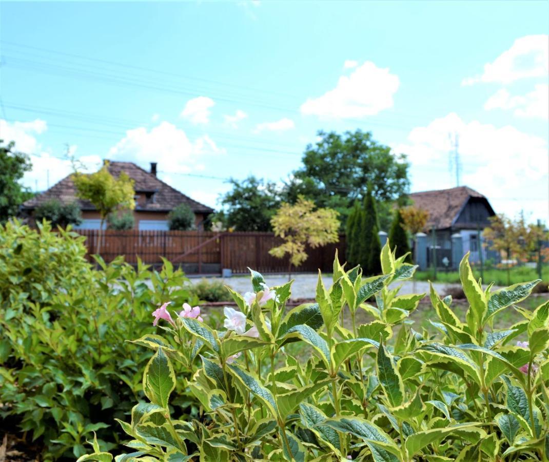 Villa Rozsi Mama Sovata Exterior foto